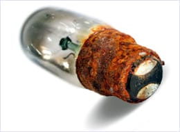 Corroded lightbulb